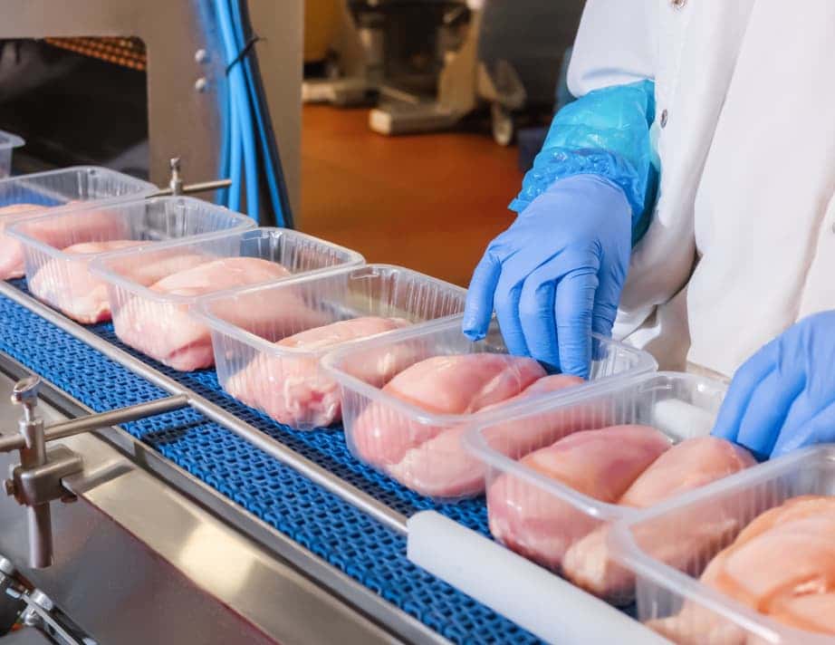 food service professional inspecting food in containers